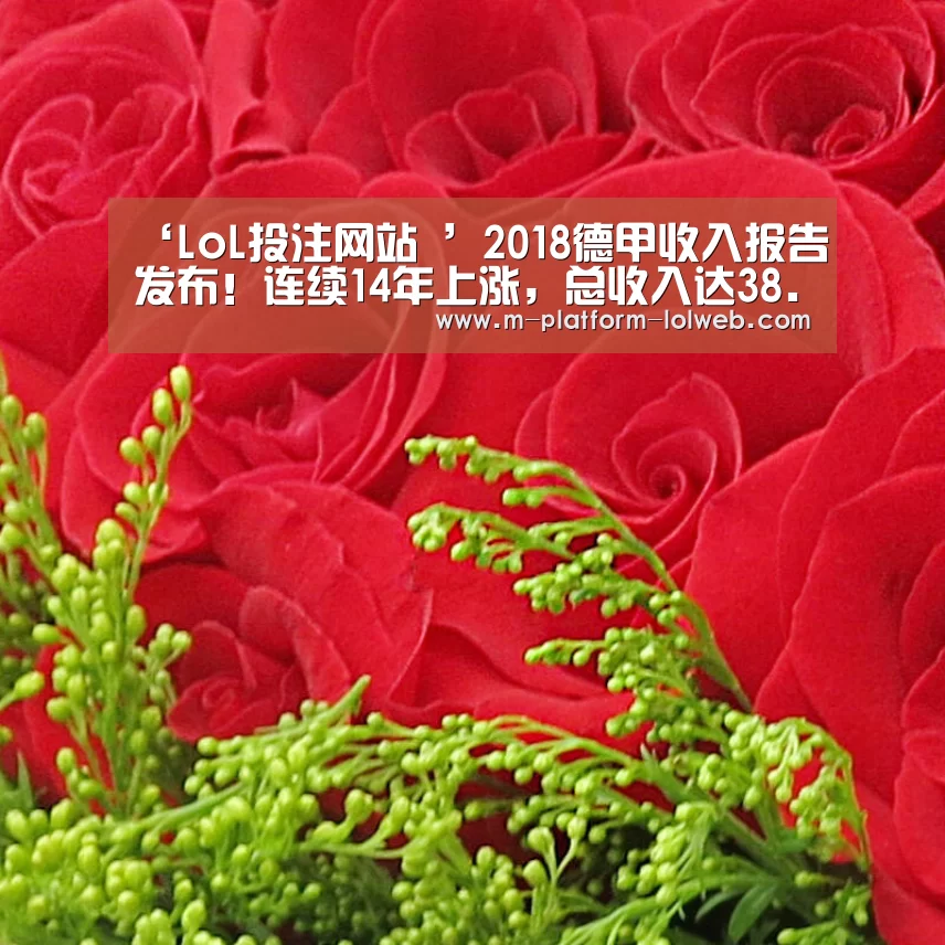 ‘LoL投注网站 ’2018德甲收入报告发布!连续14年上涨,总收入达38.1亿欧(图3) 2026年最佳英雄联盟投注网站