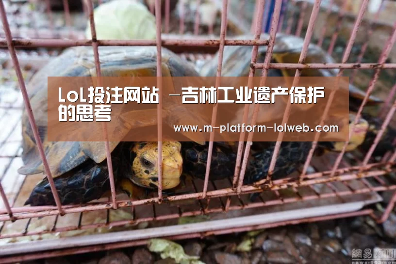 LoL投注网站 -吉林工业遗产保护的思考(图3) LoL投注网站