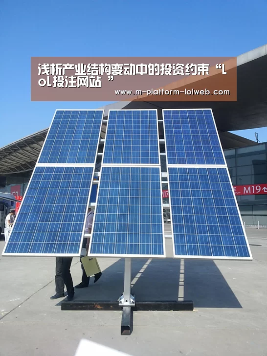 浅析产业结构变动中的投资约束“LoL投注网站 ”
