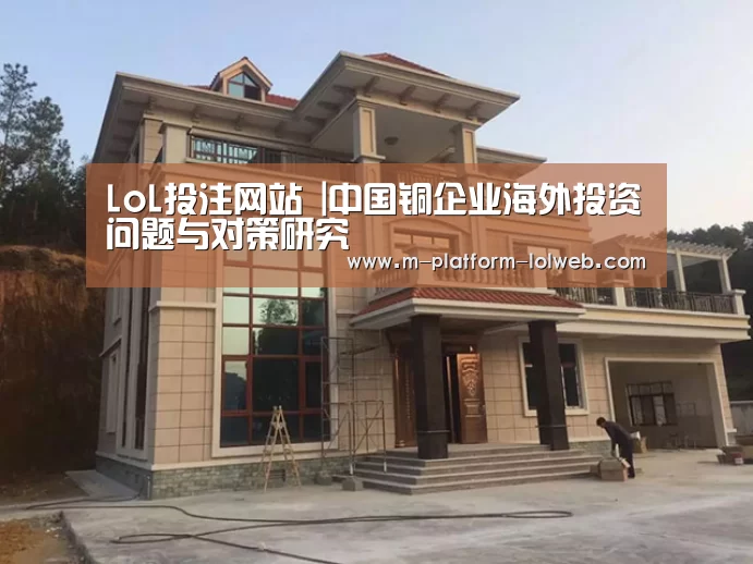 LoL投注网站 |中国铜企业海外投资问题与对策研究(图3) 2026年最佳英雄联盟投注网站